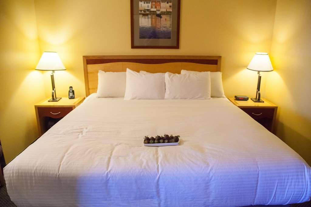 Medicine Hat Lodge, Trademark Collection By Wyndham Pokoj fotografie